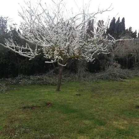 Podere 13